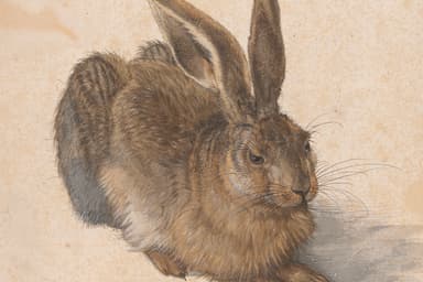 Sammeln für die Zukunft - Museen & Ausstellungen in Albertina, wien