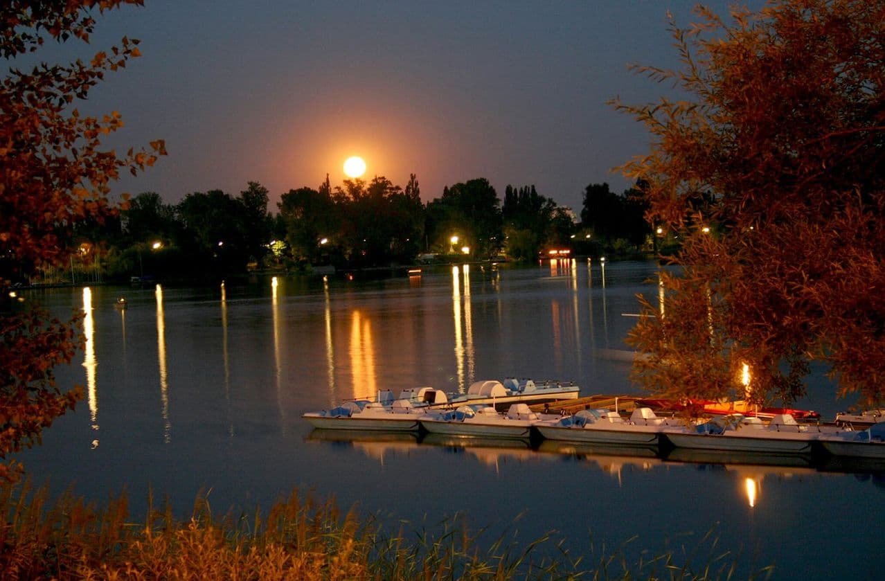 Vollmond-Fahrten auf der Alten Donau