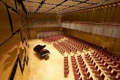 Black Page Orchestra - Klassik & Oper in Musikverein, wien