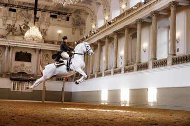 Vorführungen der Lipizzaner - Open Air & Festivals in Spanische Hofreitschule, wien