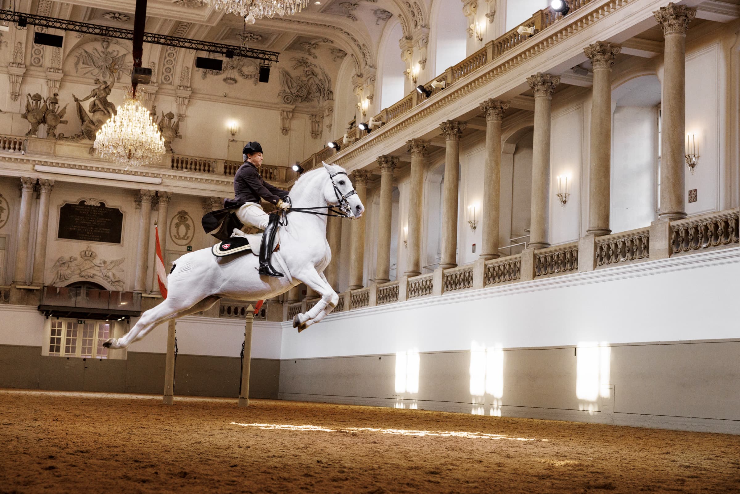 Vorführungen der Lipizzaner