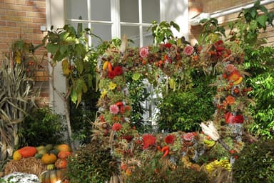 Wiener Herbsttage - Kulinarik & Märkte in Burggarten, wien