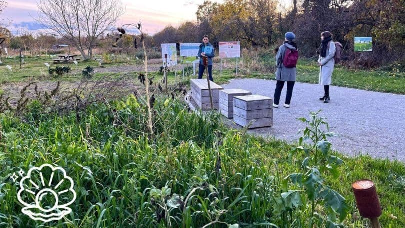 Klimafitte Donaustadt: Landwirtschaft in der Stadt – Busstation 93A