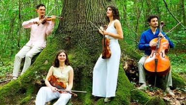 Quatuor Tchalik: Beethoven, Schönberg, Turkevich - Klassik & Oper in Arnold Schönberg Center, wien