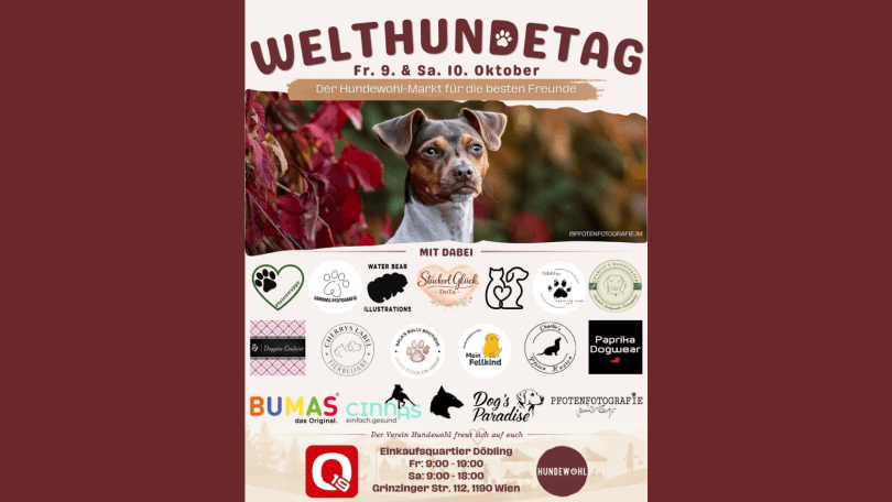 Welthundetag Q19