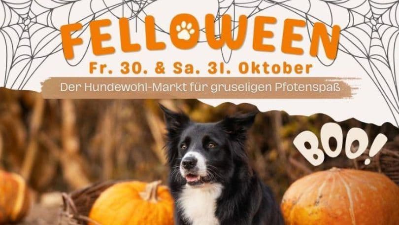 Felloween Markt Donauzentrum – Westfield Donau Zentrum